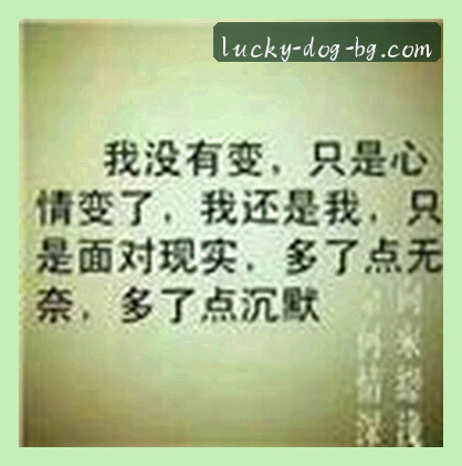 陈磊